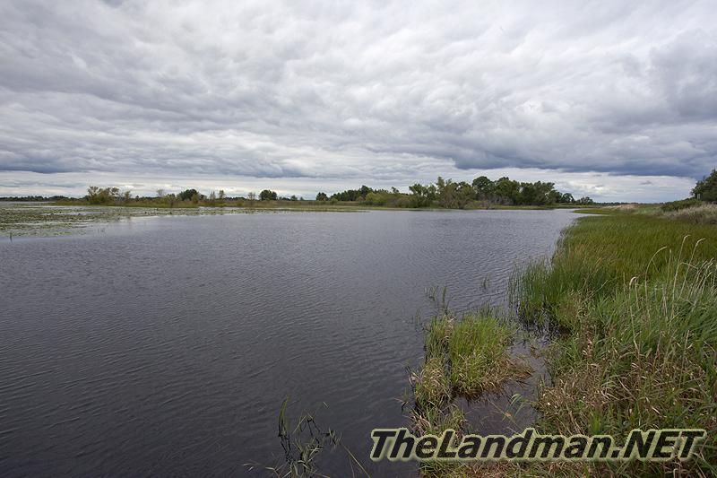 Northern Pike Fishing