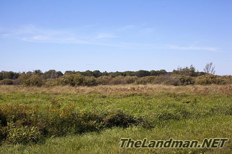 Wildlife Viewing Area