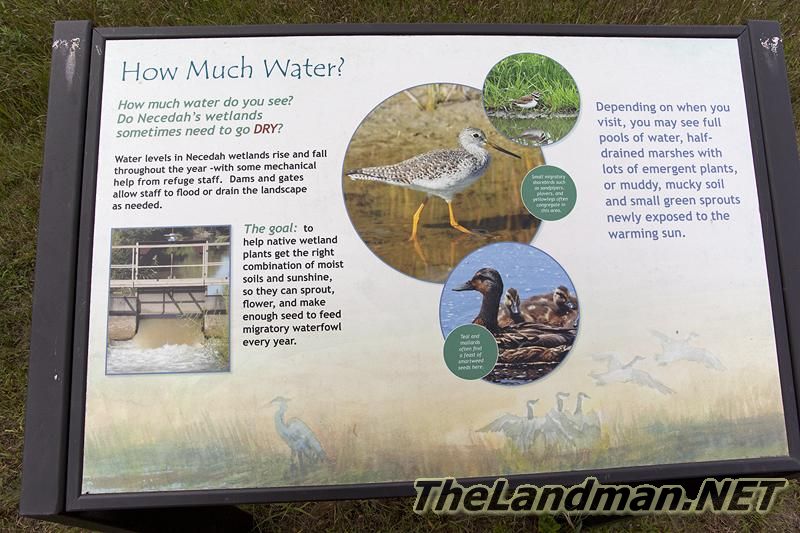 Water Regulation in the Refuge