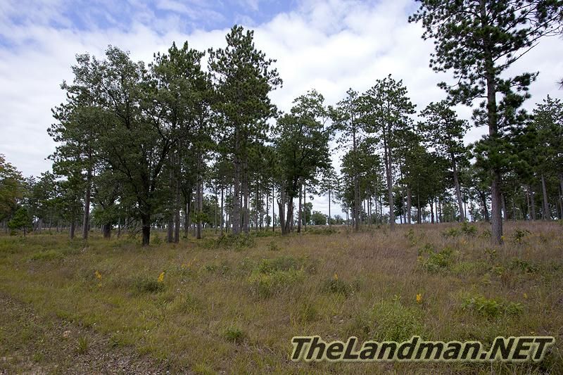 Wisconsin Public Hunting Land 