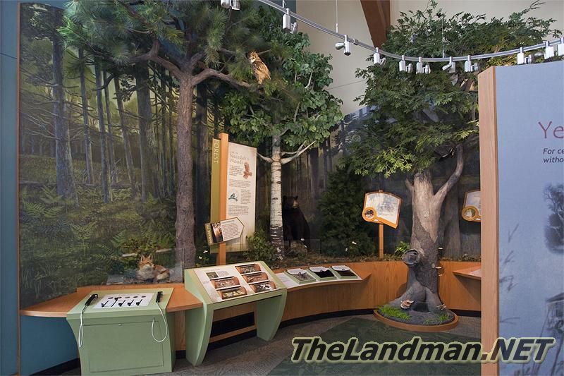 Inside the Necedah National Wildlife Refuge Visitor Center