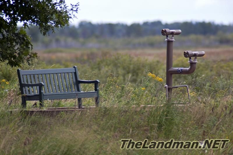 Wildlife Observation Area