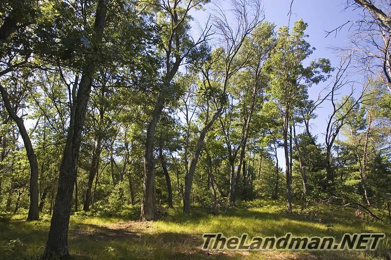 Quincy Township Quincy Township