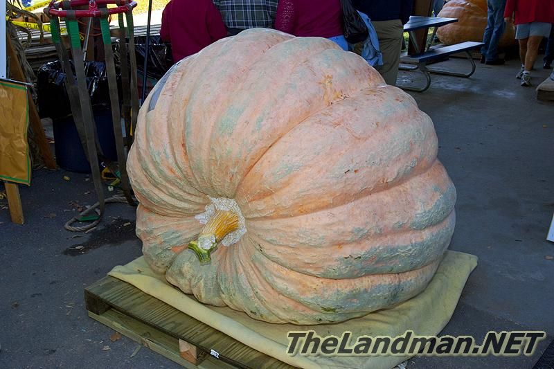 D 800X533 MD3Z6850 D 800X533 MD3Z6850