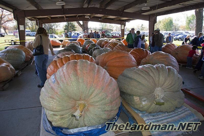 D 800X533 MD3Z6851 D 800X533 MD3Z6851