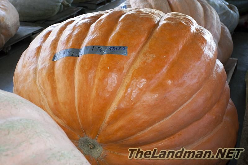 D 800X533 MD3Z6852 D 800X533 MD3Z6852