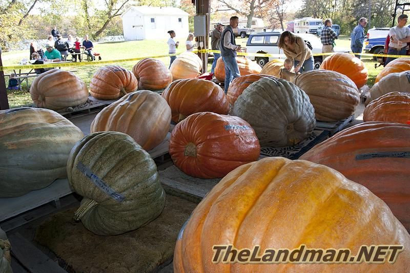 D 800X533 MD3Z6853 D 800X533 MD3Z6853