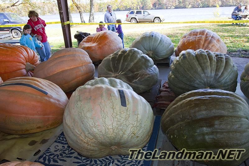 D 800X533 MD3Z6854 D 800X533 MD3Z6854