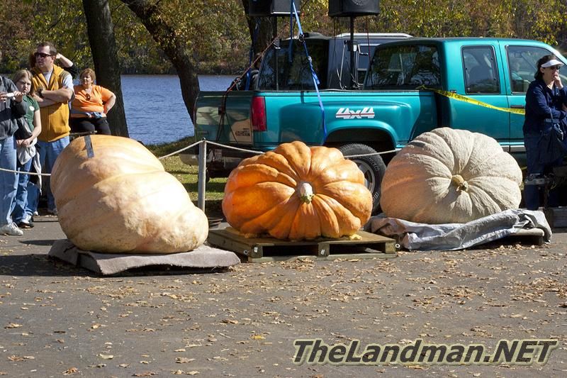 D 800X533 MD3Z6864 D 800X533 MD3Z6864