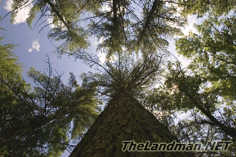 Adams County WI Adams County WI