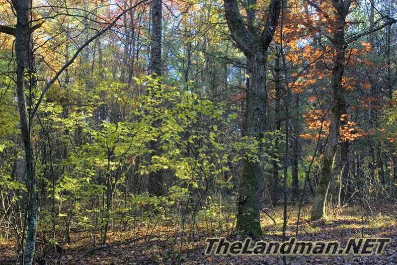 Central Wisconsin Central Wisconsin