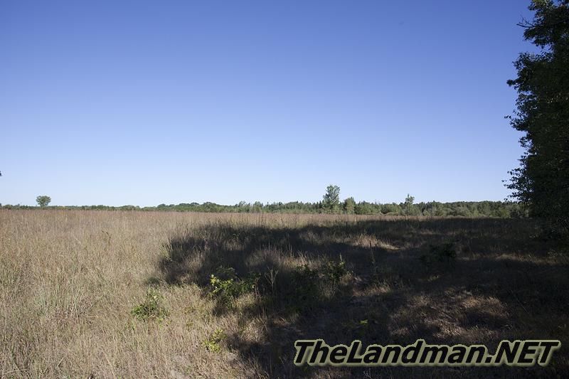 D 800X533 IMG 0014 D 800X533 IMG 0014