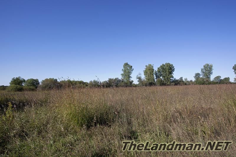 D 800X533 IMG 0015 D 800X533 IMG 0015