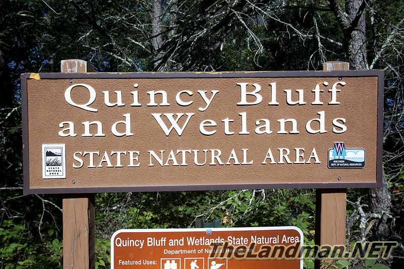 D 800X533 IMG 0016 D 800X533 IMG 0016