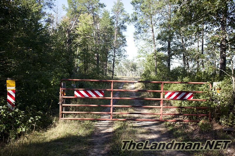 D 800X533 IMG 0019 D 800X533 IMG 0019