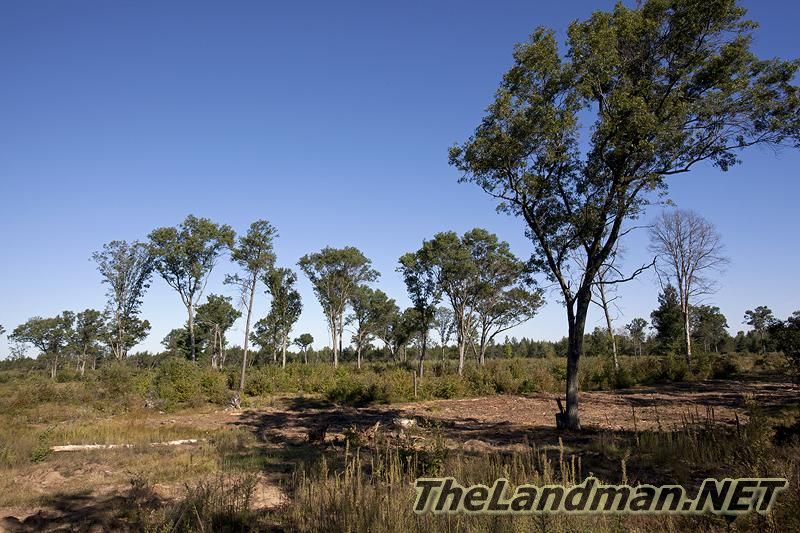 D 800X533 IMG 0022 D 800X533 IMG 0022