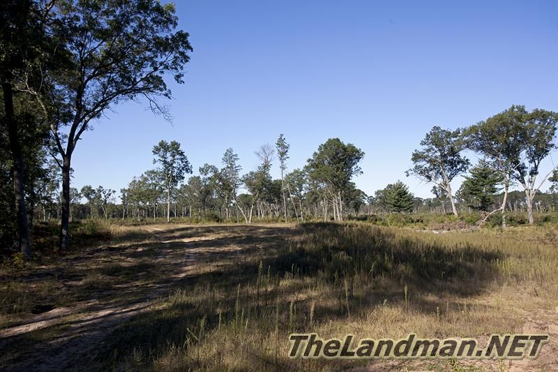 D 800X533 IMG 0023 D 800X533 IMG 0023