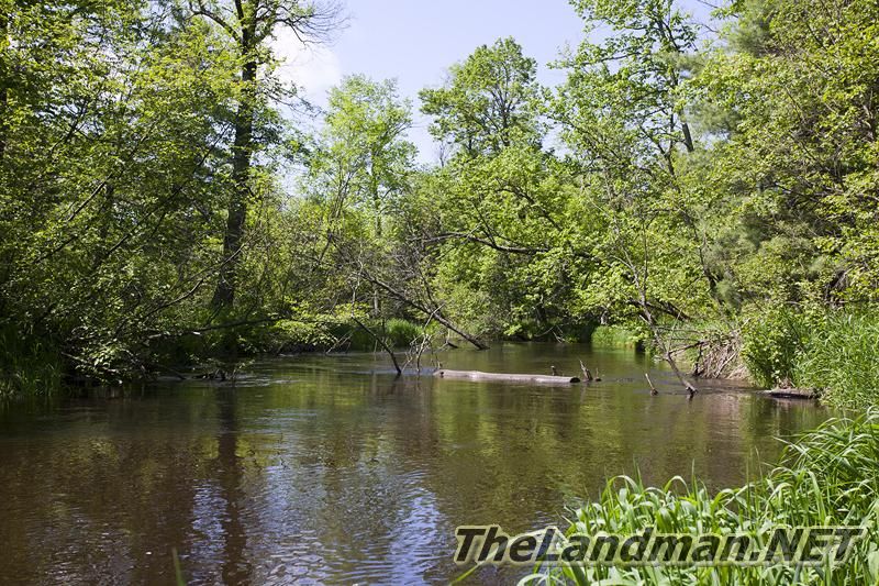 D 800X533 IMG 1480 D 800X533 IMG 1480