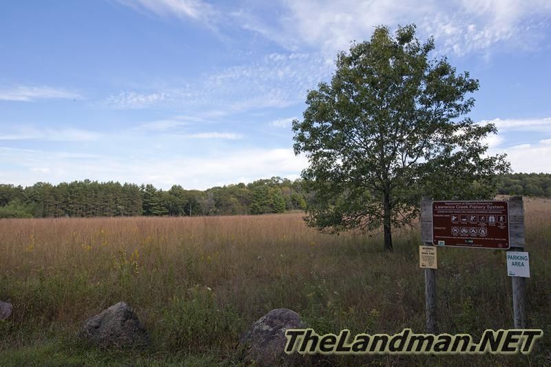 D 800X533 IMG 0494 D 800X533 IMG 0494