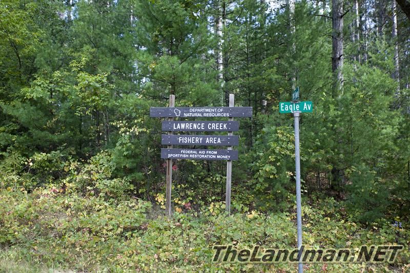 D 800X533 IMG 0495 D 800X533 IMG 0495