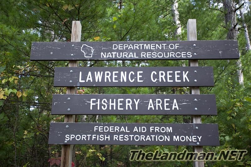 D 800X533 IMG 0496 D 800X533 IMG 0496