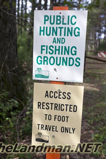 D 800X533 IMG 0498 D 800X533 IMG 0498