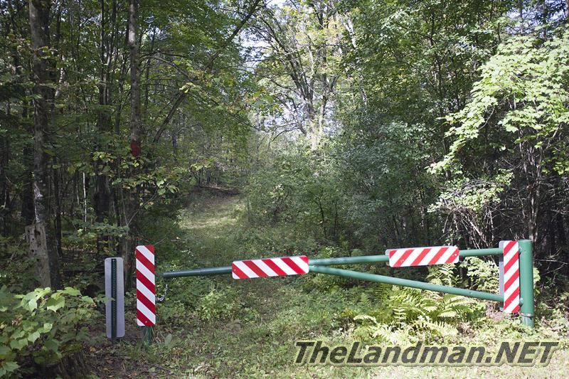 D 800X533 IMG 0500 D 800X533 IMG 0500