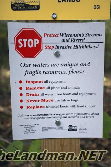 D 800X533 IMG 0501 D 800X533 IMG 0501