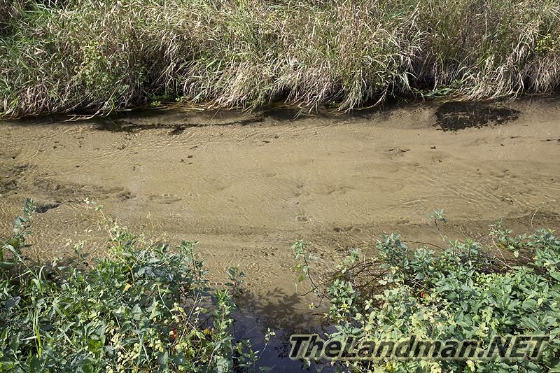 D 800X533 IMG 0506 D 800X533 IMG 0506