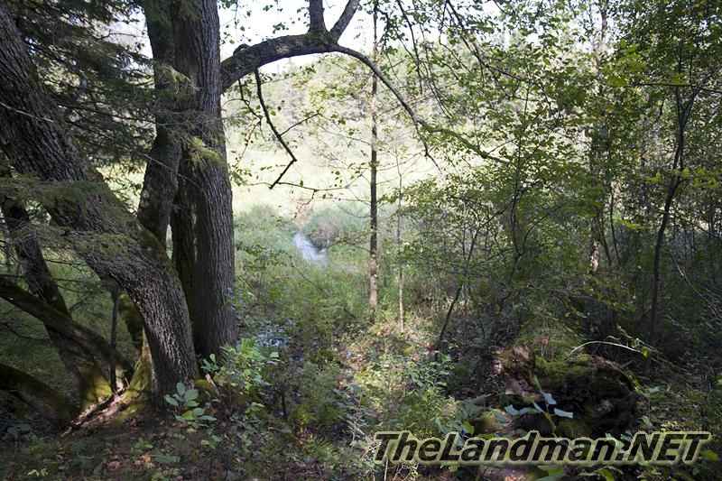 D 800X533 IMG 0513 D 800X533 IMG 0513