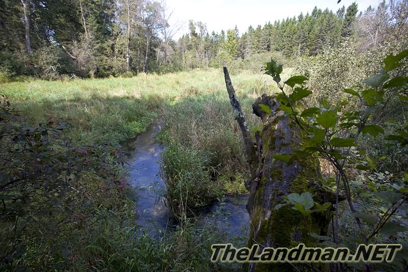 D 800X533 IMG 0515 D 800X533 IMG 0515