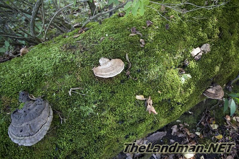 D 800X533 IMG 0518 D 800X533 IMG 0518