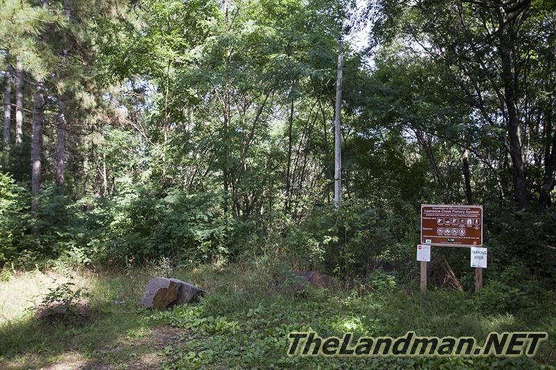 D 800X533 IMG 0520 D 800X533 IMG 0520