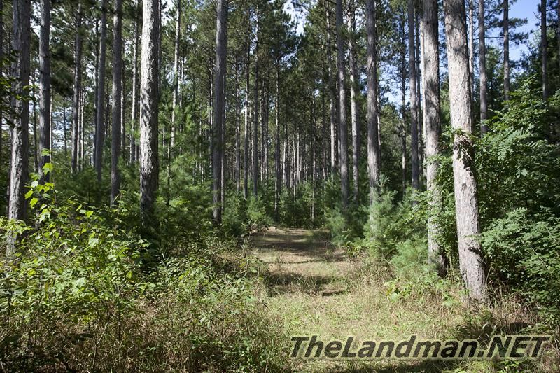 D 800X533 IMG 0521 D 800X533 IMG 0521