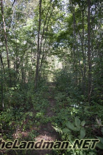 D 800X533 IMG 0522 D 800X533 IMG 0522