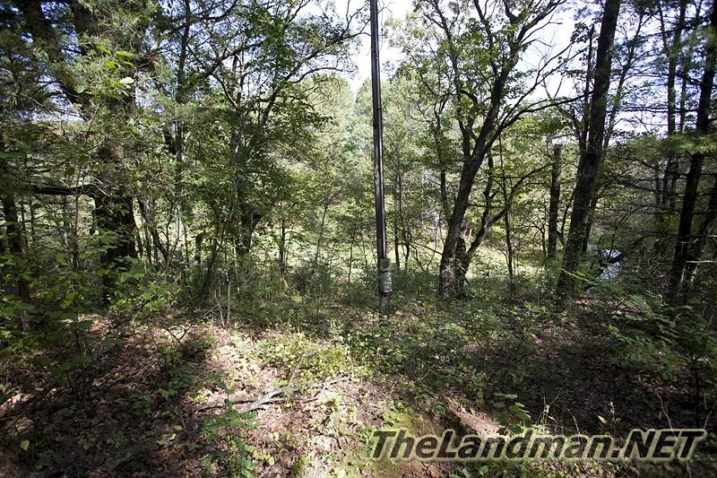 D 800X533 IMG 0523 D 800X533 IMG 0523