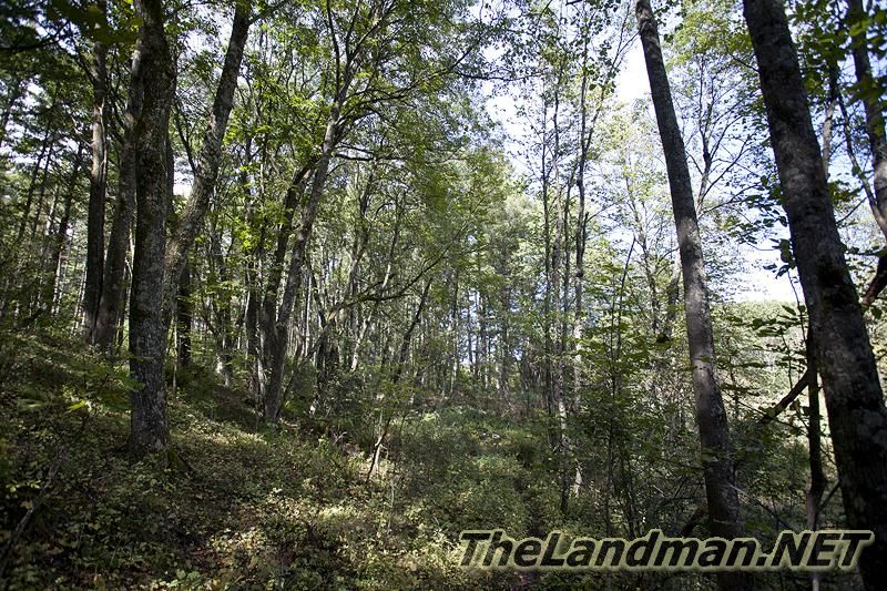 D 800X533 IMG 0524 D 800X533 IMG 0524