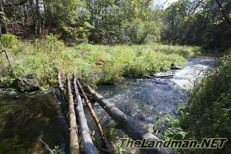 D 800X533 IMG 0528 D 800X533 IMG 0528