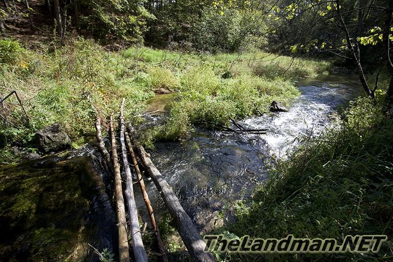 D 800X533 IMG 0529 D 800X533 IMG 0529