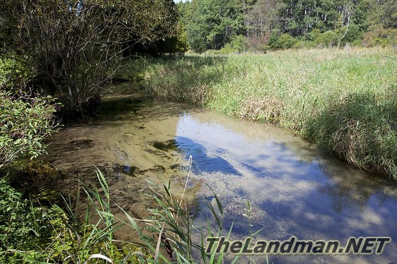 D 800X533 IMG 0530 D 800X533 IMG 0530