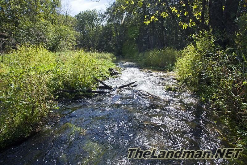 D 800X533 IMG 0531 D 800X533 IMG 0531