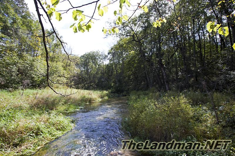 D 800X533 IMG 0533 D 800X533 IMG 0533