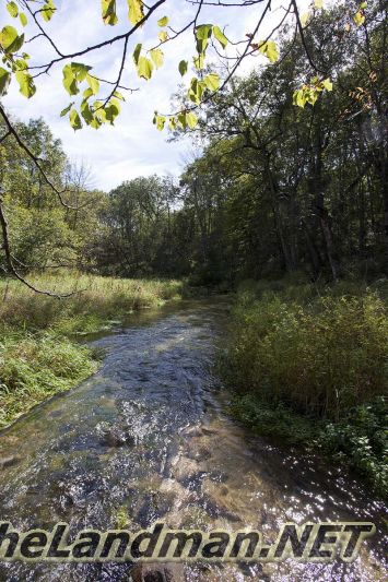 D 800X533 IMG 0534 D 800X533 IMG 0534