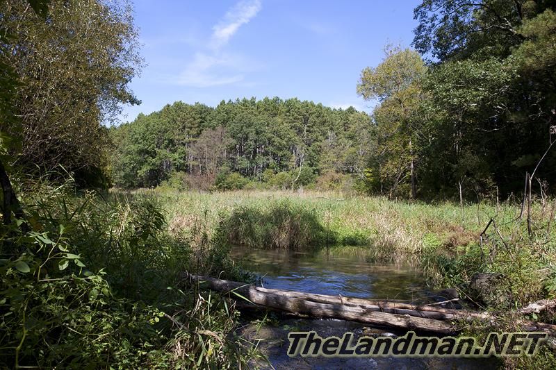 D 800X533 IMG 0536 D 800X533 IMG 0536