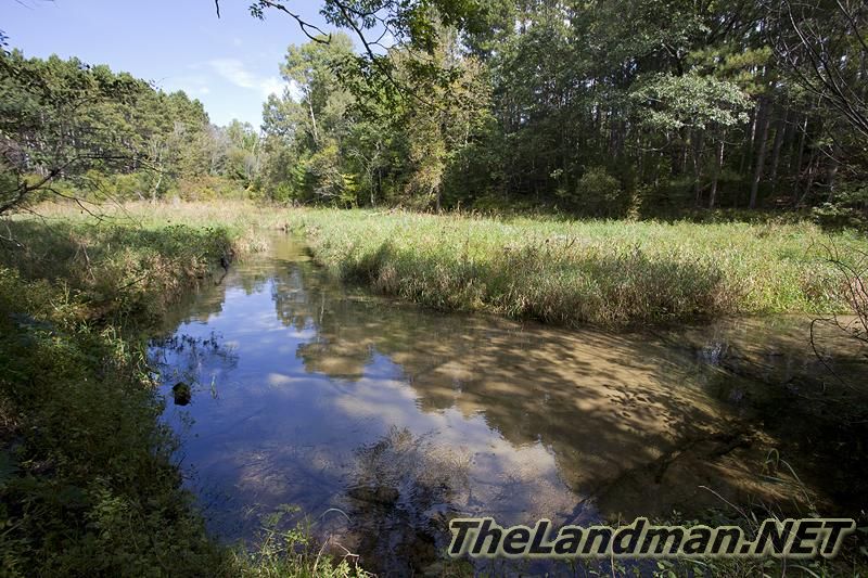 D 800X533 IMG 0537 D 800X533 IMG 0537