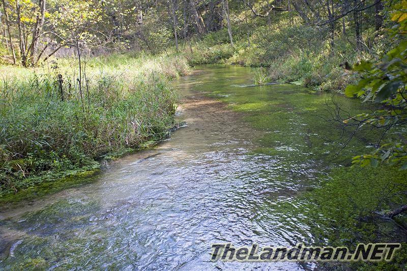 D 800X533 IMG 0539 D 800X533 IMG 0539