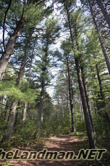 D 800X533 IMG 0543 D 800X533 IMG 0543