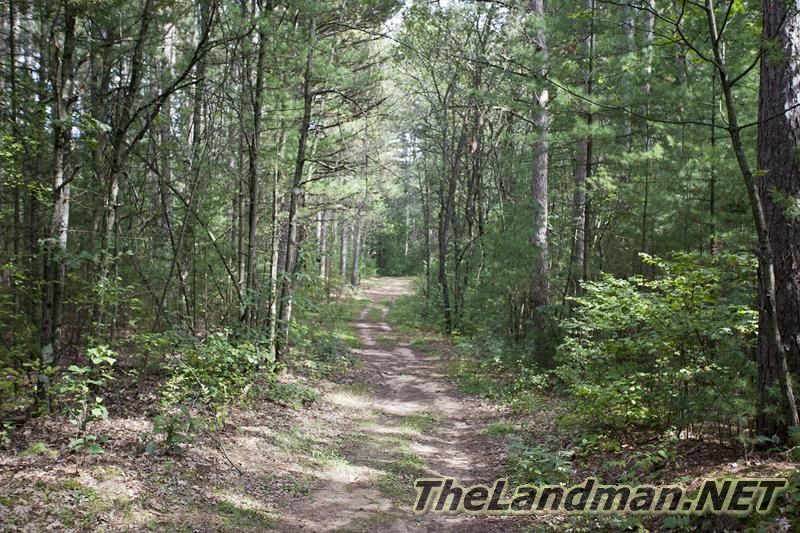 D 800X533 IMG 0544 D 800X533 IMG 0544