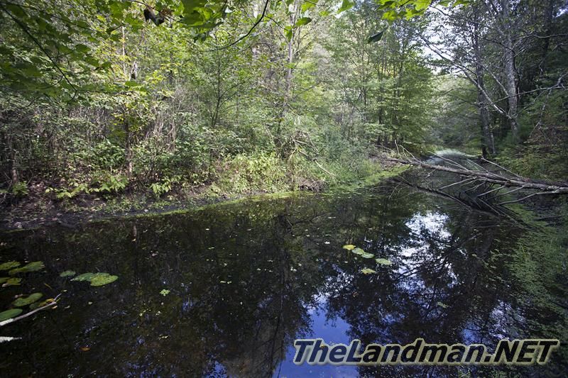 D 800X533 IMG 0545 D 800X533 IMG 0545