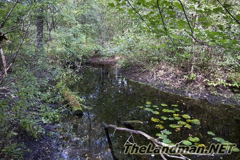 D 800X533 IMG 0546 D 800X533 IMG 0546